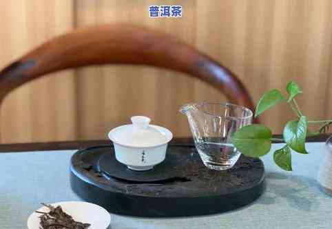 什么壶型最适合泡普洱茶？从茶具选择到口感细节全解析