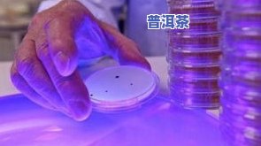 茶叶水能杀死病吗？科学解析与实验视频