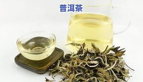 毛茶是不是普洱茶的一种？它属于哪种茶类？