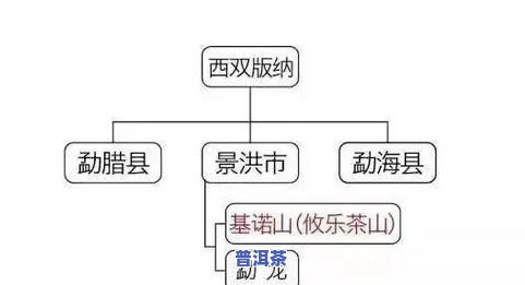 普洱茶老料新压能否继续转化？原因与风险解析