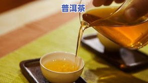 普洱茶老料新压优缺点-普洱老料新压是什么意思