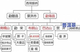 普洱茶的十种形状特征图解：全面解析与说明