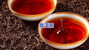 燕语普洱茶兰香-燕语普洱茶价位