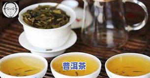 普洱茶单株口感：特点、功效与好喝程度解析