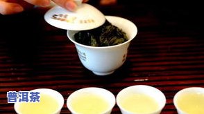 泡饮普洱茶宜用“一沸”的水冲泡-泡饮普洱茶宜用一沸的水冲泡