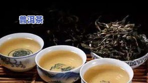 泡饮普洱茶宜用“一沸”的水冲泡-泡饮普洱茶宜用一沸的水冲泡