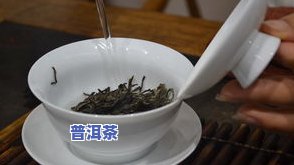 沸水为何最适合冲泡普洱茶？探讨其科学原理与实践技巧