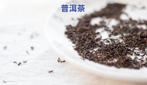 斯里兰卡的茶叶好吗-斯里兰卡的茶叶好吗产地在哪