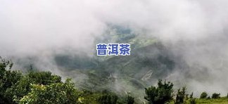 去普洱茶山：更佳时间、感受与好处全攻略