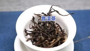 普洱茶纯料茶的特点和功效-普洱茶纯料茶的特点和功效是什么