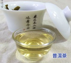 普洱茶毫毛-普洱茶毫毛多