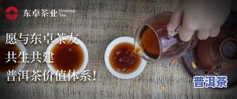 普洱茶秋天茶山能喝吗？了解其安全性和适宜人群