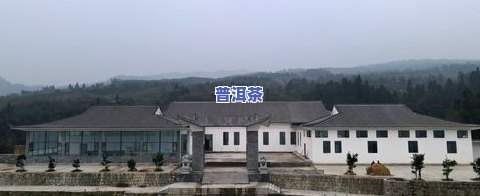 广西巴马茶叶加工厂-广西巴马茶叶加工厂地址