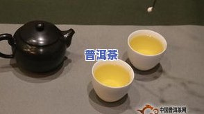 朴素普洱茶：价格、种类与官网全解析