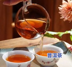 寻找高品质普洱茶：特点与鉴别方法