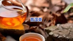 创业普洱茶-创业普洱茶项目名称