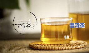 车顺号与普洱茶的区别-车顺号普洱茶价格太贵