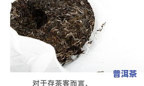 乔木原生态普洱茶价格表-乔木普洱生茶357克价格