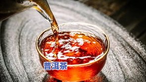 普洱茶如何开启：正确方法与时间解析