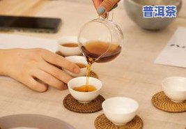 关于普洱茶的视频全面解析：央视报道、素材分享与详细介绍