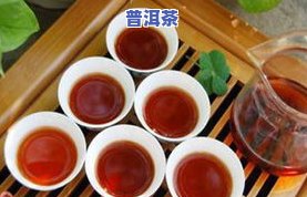 普洱茶怎么冲泡更好喝呢？冲泡普洱茶5大技巧详解