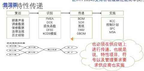 普洱茶的特性是什么性？探讨其独特的气候、工艺与口感特性