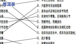 普洱茶的特性是什么性？探讨其独特的气候、工艺与口感特性