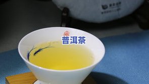 龙润普洱茶成立于哪一年？