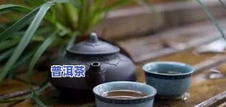 普洱茶夏天风扇-普洱茶夏天风扇会转吗