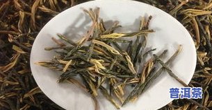 苦丁茶：由什么制成？它是茶叶吗？详解成分与制作过程