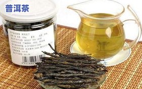 苦丁茶：由什么制成？它是茶叶吗？详解成分与制作过程