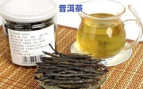 苦丁茶：究竟是还是茶？探究其性质与功效