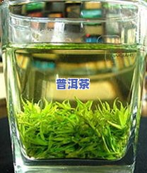 苦丁茶：究竟是还是茶？探究其性质与功效