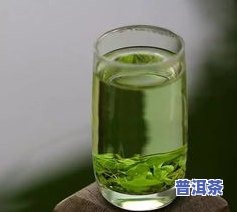 苦丁茶：究竟是还是茶？探究其性质与功效