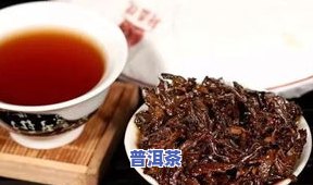 牧工普洱茶-云南牧工商茶叶普洱茶