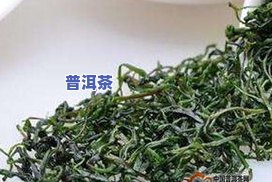 苦丁茶是茶叶做的吗-苦丁茶是茶叶做的吗?