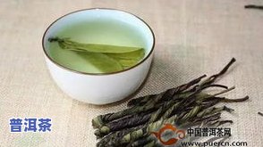 苦丁茶是茶叶做的吗-苦丁茶是茶叶做的吗?