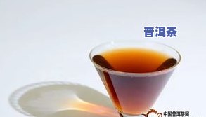 驿站普洱茶庄：您的一站式普洱茶体验