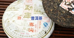 勐库冰岛2006年普洱茶价格全解析：一饼多少钱？古树与普通有何差异？