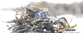 普洱茶所有品种名称大全：包含图片与详细解释