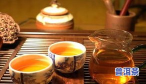 普洱的泡茶方法大全：步骤、技巧与视频教程