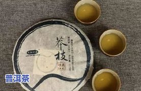 普洱茶：味道浓的好还是淡的好？探讨口感与品质的关系