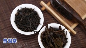 上林普洱茶-上品普洱茶价格