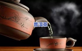 普洱茶泡茶五诀：掌握关键步骤，提升品茗体验