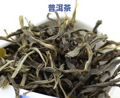 云南古树纯料普洱茶：价格、功效与正宗体验全攻略