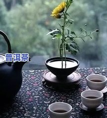 生普洱茶拿什么壶来泡-生普洱茶拿什么壶来泡好