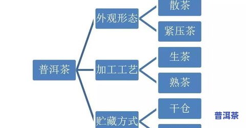 普洱茶仓位：仓储对品质的影响及科学存储机理