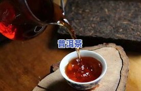 普洱茶常饮-普洱茶常喝