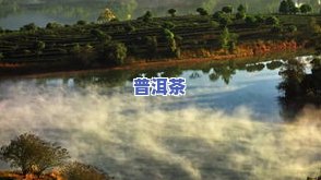 龙山普洱茶-龙山普洱茶主题公园具  置在哪里