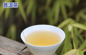 普洱茶宋朝-宋代普洱茶